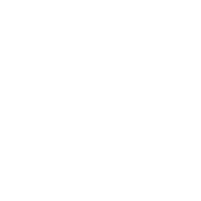 Experiênca Lucro Loja Física